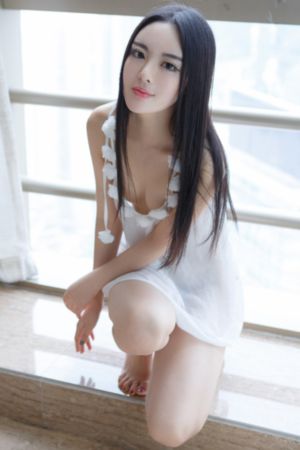 蔷薇风暴免费观看高清版