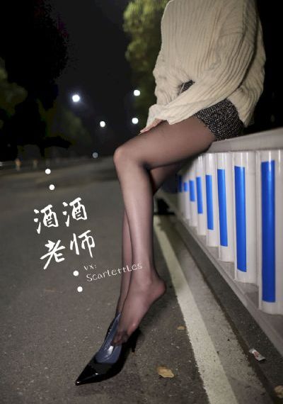 少帅一共多少集