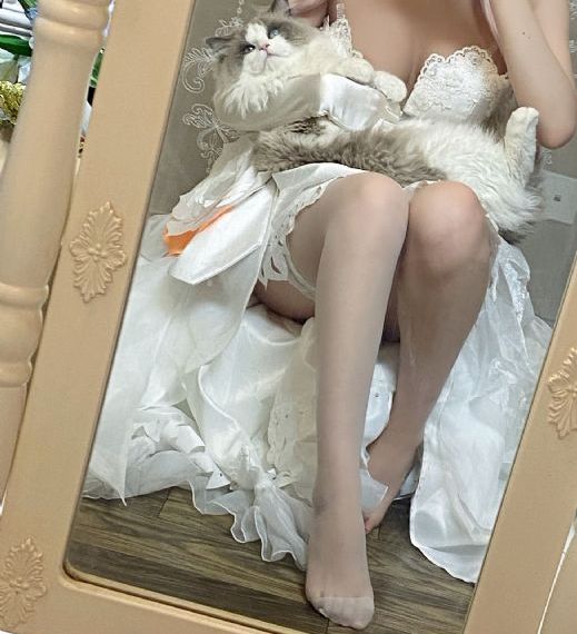 《分手的决心》免费观看