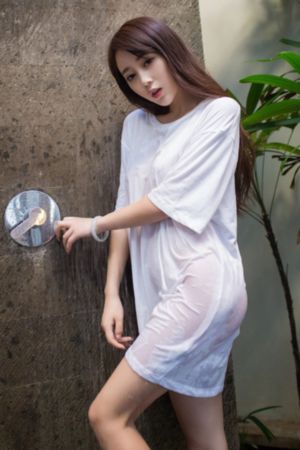 电视剧免费全集观看