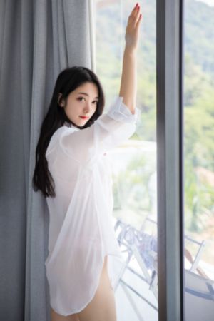 布衣天子 电视剧免费观看