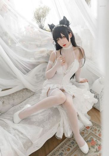 满天星日版免费观看