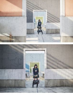 唐老鸭和米老鼠动画片免费观看