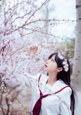 一级录像免费录像性高湖